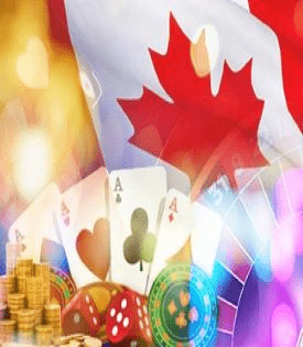 casinobonusbible.com Disclaimer