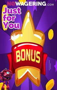 casinobonusbible.com No Wagering Bonuses For You